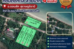 ขายด่วน ราคาถูกๆ ที่ดินติดทะเล สวยมาก 4 แปลง อ.ดอนสัก สุราษฎร์ธานี ใกล้ รร.อนุบาลดอนสัก, รพ.ดอนสัก โทร 0632897879