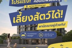PYNN Kaset by Sansiri พินน์ เกษตร - คอนโด Pet-Friendly ใกล้ ม.เกษตร โทร 0654496399