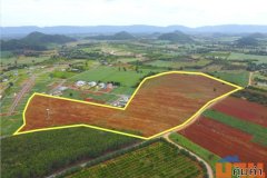 ขาย ที่ดิน เขาใหญ่ ต.​คลองม่วง​ อ.ปากช่อง 98 ไร่ ​ที่เป็นเนิน เห็นวิว360องศา​