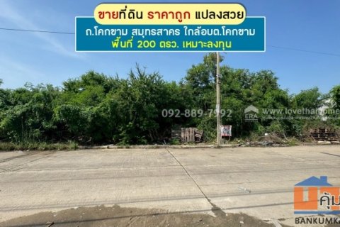 ขายที่ดิน ถนนโคกขาม สมุทรสาคร แปลงสวย พื้นที่ 200 ตรว. ราคาถูก ใกล้อบต.โคกขาม เหมาะลงทุน