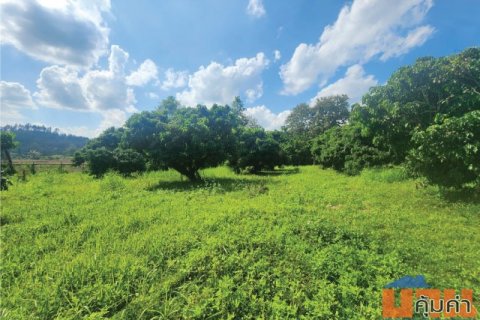 ขายที่ดิน 2 ไร่ 3 งาน 33 ตรว สวนลำไย วิวภูเขา บรรยากาศดี บ้านตีนธาตุ ต.แม่แตง อ.แม่แตง จ.เชียงใหม่