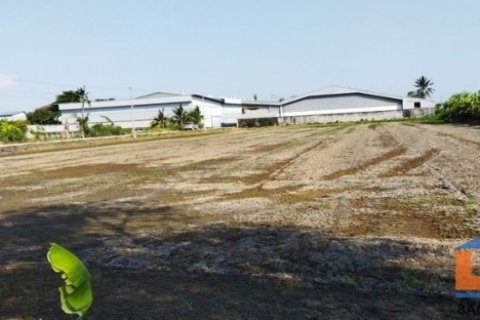 ขายที่ดิน สีม่วง สาย 5