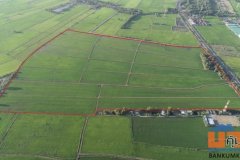 ขายที่ดิน 233-3-61 ไร่ แปลงสวย ติดถนน 2 ด้าน ต.บางขวัญ อ.เมืองฉะเชิงเทรา (เจ้าของขายเอง)