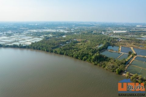 ขายที่ดิน ติดแม่น้ำบางปะกง เนื้อที่ 18 ไร่ 2 งาน 39 ตารางวา ตั้งอยู่ที่ ต.บางกรูด อ.บ้านโพธิ์ จ.ฉะเชิงเทรา