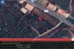 ขายที่สวนลำใย ทำเลดี ติดถนน  ต.ริมปิง อ.เมืองลำพูน จ.ลำพูน