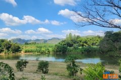 ายที่ดินติดแม่น้ำแควน้อย เมืองกาญจนบุรี 17 ไร่ พร้อมบ้านริมน้ำสวยๆ ปลูกต้นทุเรียน และผลไม้อื่นๆ ไว้แล้ว เอกสาารเป็นโฉนด