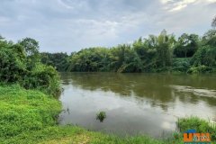 ขายที่ดินติดแม่น้ำแควน้อย ไทรโยค กาญจนบุรี 19 ไร่ หน้าน้ำกว้างมาก 400 ม.เลย ใกล้ อุทยานประวัติศาสตร์ เมืองสิงห์
