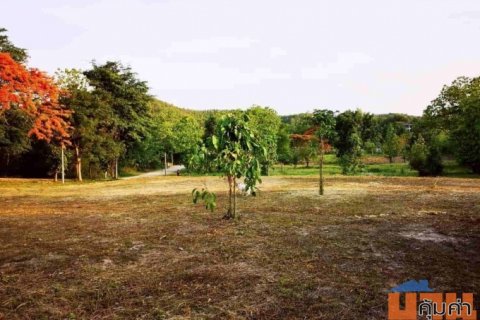 ที่ดินสวย วิวเขา ติดน้ำ 6-3-49.6 ไร่ น้ำแพร่ อ.หางดง เชียงใหม่