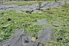 ขายที่ดินเปล่า ซอยเพชรเกษม 64 เนื้อที่ 200 ตร.ว.อยู่ในหมู่บ้านเรืองอนันต์ ปากซอยติด MRT สถานีบางแค