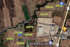 ขายด่วน!! ที่ดิน 3 แปลง 50 ไร่ และ ยกผืน 159 ไร่ ติดถนนใหญ่ 4 เลน เหมาะทำโรงงาน ต.หนองกลับ อ.หนองบัว จ.นครสวรรค์