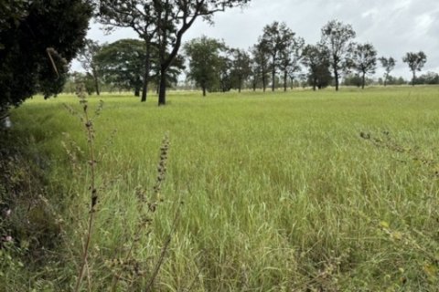 ขายที่นา 12 ไร่กว่า ราคาถูก อ.กันทรารมย์ จ.ศรีสะเกษ เจ้าของขายเอง