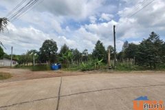 ขายที่ดินพร้อมสวนผลไม้ 5 ไร่  อำเภอนายายอาม จันทบุรี