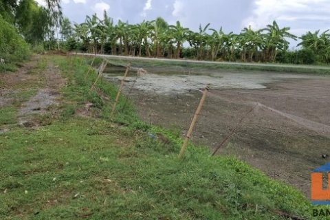 ขายที่ดินเปล่า นครนายก 2 ไร่ 3 งาน ติดชลประทาน ใกล้ตัวเมือง เหมาะทำเกษตร/บ้านสวน