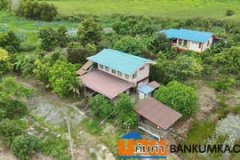 ขายบ้านสวนบรรยากาศธรรมชาติ ใกล้แยกองครักษ์–มศว.นครนายก