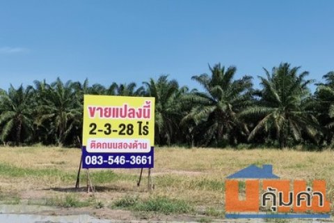 ขายที่ดิน 2-3-28 ไร่ เขตหนองชาก บ้านบึง ใกล้สนามฟุตบอลเบียร์ช้าง และ วัดสิงห์ทองพรหมาวาส ติดถนน สาธารณะ 2 ด้าน