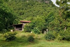 ขายด่วน! ที่ดินเปล่า ทำเลดี ใกล้เมืองนครสวรรค์ เนื้อที่ 160 ตร.ว. โทร 092-6869618