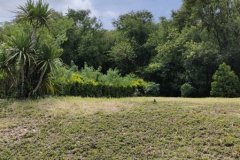 ขายที่ดินพร้อมโฉนด 1-1-32 ตร.ว. อ.ปากช่อง จ.นครราชสีมา ทำเลดี บรรยากาศร่มรื่น ด้านหลังติดภูเขา