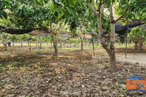 ขายที่ดินถมแล้ว 4-0-40 ไร่ น้ำไม่ท่วม เหมาะแก่การทำสวนและปลูกบ้าน ต.หนองปลาสะวาย อ.บ้านโฮ่ง จ.ลำพูน