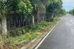 ขายที่ดินธัญบุรี คลอง 8 ใกล้เมือง ทำเลศักยภาพสูง อ.ธัญบุรี จ.ปทุมธานี