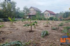 ขายถูก ที่ดินแปลงเล็ก หาดสุขเสมอ ชะอำ