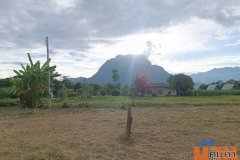 ขายที่ดินเปล่าขนาด 1 ไร่ 1 งาน 35 ตารางวา อ.เชียงดาว จ.เชียงใหม่ บรรยากาศร่มรื่น เห็นวิวดอยหลวง ใกล้โรงเรียนยูเมะมิกิ