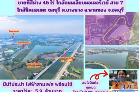 ขายที่สีม่วง 46 ไร่ ใกล้ถนนเลียบมอเตอร์เวย์ สาย 7 ใกล้นิคมอมตะ ชลบุรี  ต.บางนาง อ.พานทอง จ.ชลบุรี