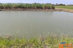 ขายที่ดินแปลงสวย  เนื้อที่แบ่งขายได้ แบ่งได้ 200 ตรวขึ้นไป  Sale large land 9.3 Rais can be subdivided