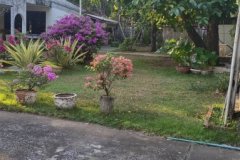 ขายบ้านเดี่้ยวเก่าแปลงใหญ่  1 ไร่ สุขุมวิท 54 ใกล้ ห้างโลตัส อ่อนนุช และ บีทีเอส อ่อนนุชSale big land Sukhumvit 50-54