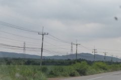 ขายที่สีม่วง 4,5,6 ไร่ ต.บางนาง อ.พานทอง จ.ชลบุรี