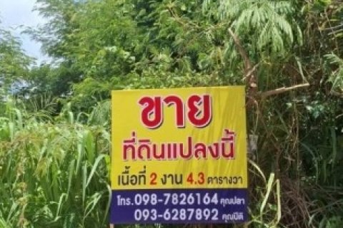 ที่ดินทำเลทอง ติดตลาดหนองไผ่ศิลา จ.ขอนแก่น เนื้อที่2งาน ติดถนนหลัก