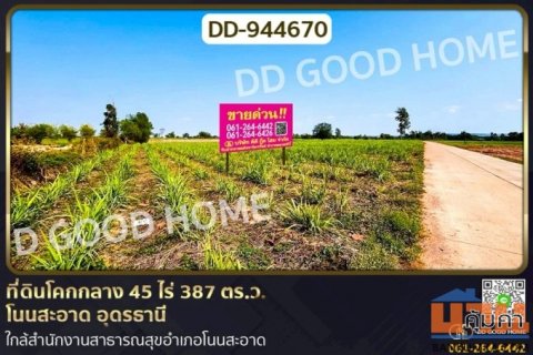 DD-944670 ที่ดินโคกกลาง 45 ไร่ 387 ตร.ว. โนนสะอาด อุดรธานี ใกล้สำนักงานสาธารณสุขอำเภอโนนสะอาด