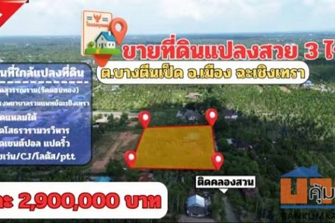 ขายที่ดินแปลงสวย ต.บางตีนเป็ด อ.เมือง จ.ฉะเชิงเทรา เนื้อที่ 3 ไร่ 9 ตร.ว. โทร 081-435-2828