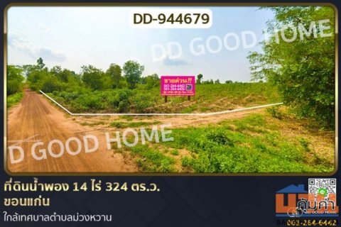 DD-944679 ที่ดินน้ำพอง 14 ไร่ 324 ตร.ว. ขอนแก่น ใกล้เทศบาลตำบลม่วงหวาน