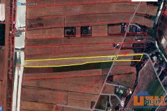 ขายที่ดิน บึงเทพยา ตำบลบางน้ำเปรี้ยว อำเภอบางน้ำเปรี้ยว ฉะเชิงเทรา