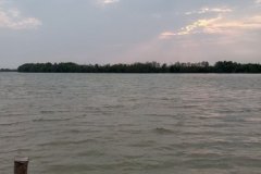 ขายที่ดินติดแม่น้ำบางปะกง  อ.บ้านโพธิ์ จ.ฉะเชิงเทรา