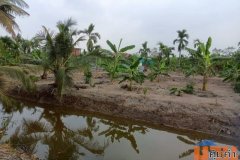 ขายที่ดินเปล่า 4 ไร่ 27 ตร.วา ติดคลอง บรรยากาศดี เหมาะสร้างบ้านสวน ทำเกษตร ต.บางไผ่ อ.เมือง จ.ฉะเชิงเทรา