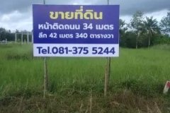 ขาย ที่ดิน 340 ตรว. ใกล้ทะเลหาดแม่พิมพ์ 8 นาที อยู่ระยอง แกลง