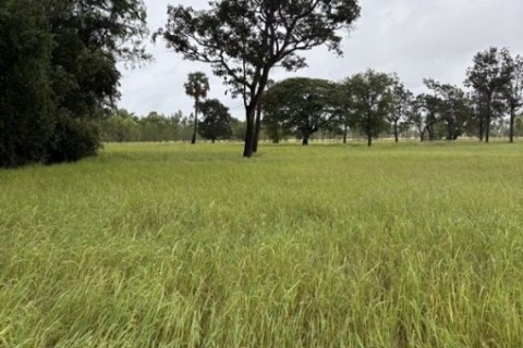 ด่วน ขายที่นา ราคาถูก อ.กันทรารมย์ จ.ศรีสะเกษ เนื้อที่ 12 ไร่ 2 งาน 62.6 ตร.ว. โทร 062-5982441 (คุณโย)