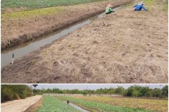 ที่ดินเปล่า 5 ไร่ 246 ตร.วา เหมาะทำสวนเกษตร ที่สวย ใกล้กรุงเทพฯ