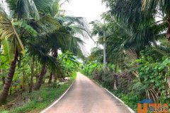 ขายที่ดิน 2 แปลง ติดกัน รวม 6 ไร่ 2 งาน 62 ตร.ว. ซอยเลียบนที  ใกล้วัดบางขันแตก ตลาดน้ำอัมพวา