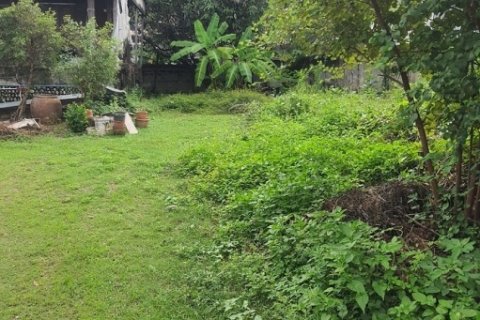 ขายที่ดิน 200 ตรว. ถนนหมื่นด้ามพร้าคต ทำเลกลางเมืองเชียงใหม่ ใกล้ ม.ราชภัฏฯ  และตลาดธานินทร์