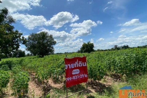 ขายที่ดิน 9-2-13 ไร่ ติดถนน ทำบ้านจัดสรรได้ ติดเทศบาล ตำบลเนินขาม อ.เนินขาม จ.ชัยนาท ขายถูกสุดในย่านนี้