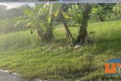 ขายที่ดิน ดอนเจริญ เมืองนครนายก 200 ตร.ว. ติดถนน มีน้ำ มีไฟ พร้อม โทร 0995465591