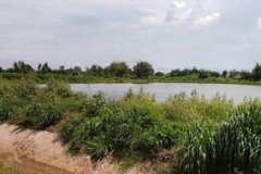 ขายที่บ่อปลา ติดคลอง 9 ไร่ ติดถนน ต.ท่าข้าม อ.พนัสนิคม จ.ชลบุรี