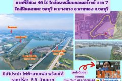 ขายที่สีม่วง 46 ไร่ ใกล้ถนนเลียบมอเตอร์เวย์ สาย 7 ใกล้นิคมอมตะ ชลบุรี  ต.บางนาง อ.พานทอง จ.ชลบุรี