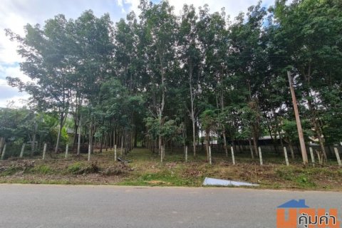 ขายที่ดินสวนยาง 2.40 ไร่ พร้อมโฉนด เหมาะแก่การลงทุน หลังวิทยาลัยการอาชีพปัว ต.ปัว จ.น่าน