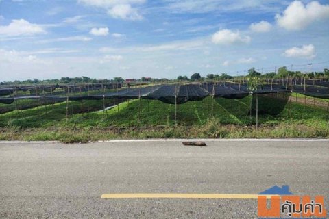 ขายที่ดิน 4 ไร่ 135 ตารางวา อ.ไทรน้อย จ.นนทบุรี หน้ากว้างติดถนนตัดใหม่ บรรยากาศดี โทร 065-365-4426