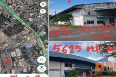 ขายโรงงานพร้อมที่ดิน แปลงใหญ่ แบ่งแยกขายได้คะ จ.ชลบุรี