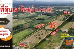 #ที่ดินเขาใหญ่ ซอย.กำนันโจ้  36 ไร่. (ติด.เดอะ พีค ฟลาวเวอร์ แลนด์) ไร่ล่ะ 3.9 ล้าน บ.ซับสวอง ต.ขนงพระ