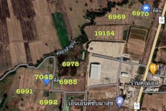 ขายด่วน!! ที่ดิน 3 แปลง 50 ไร่ และ ยกผืน 159 ไร่ ติดถนนใหญ่ 4 เลน เหมาะทำโรงงาน ต.หนองกลับ อ.หนองบัว จ.นครสวรรค์